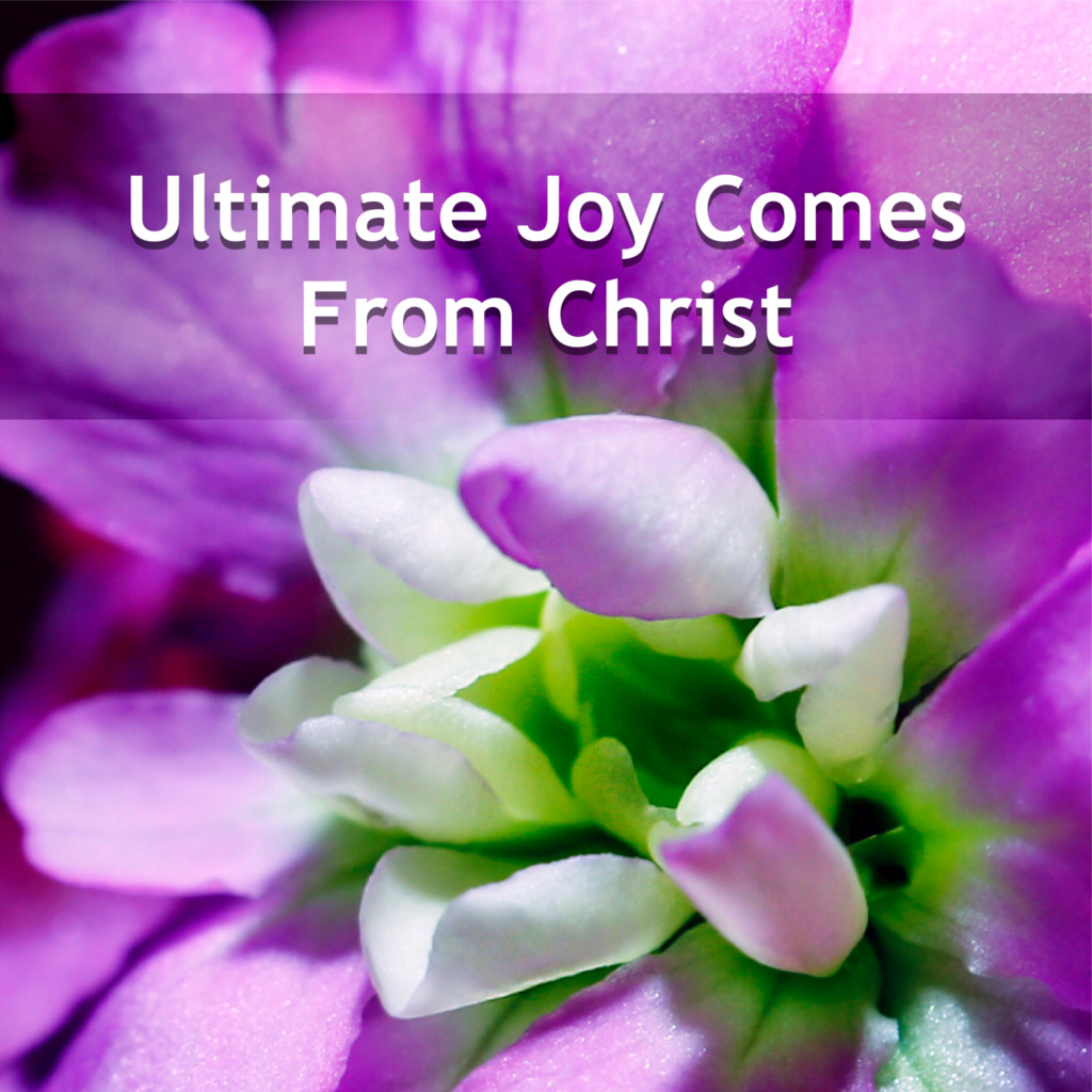 Ultimate Joy Comes From Christ with a purple flower