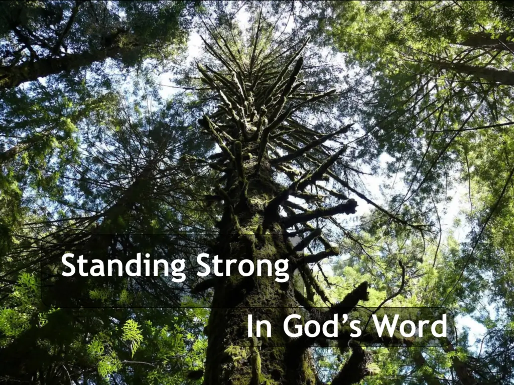 Standing Strong in God Word Quote on Tree Background