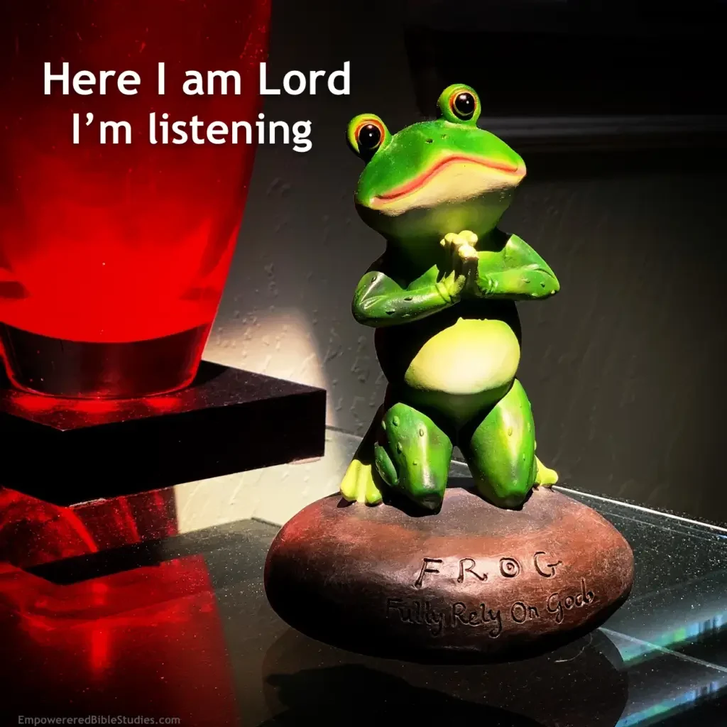 Here I am Lord Quote With a Frog Figure