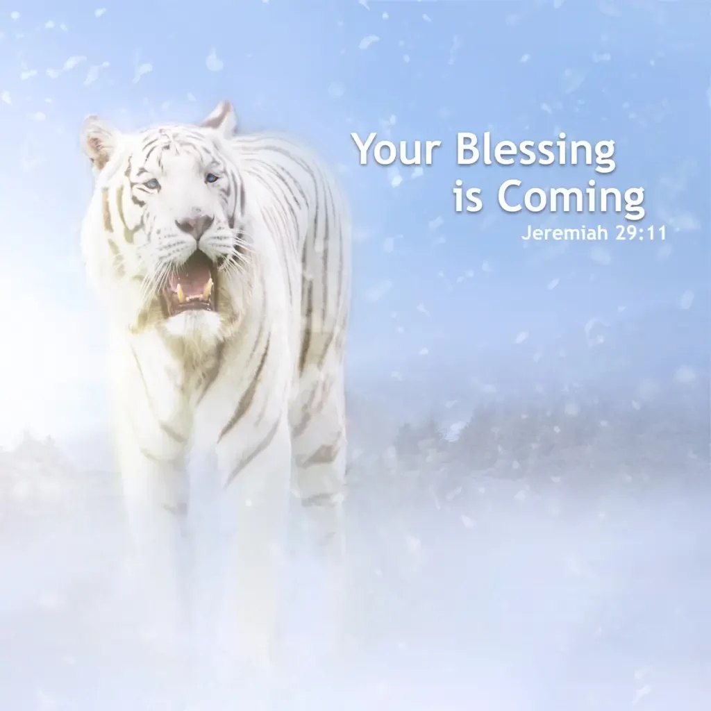 Your Blessing is Coming Quote with White Tiger in Background